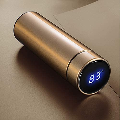 Hot & Cold Thermos Bottle with Temperature Display (500 ml, Multicolor)